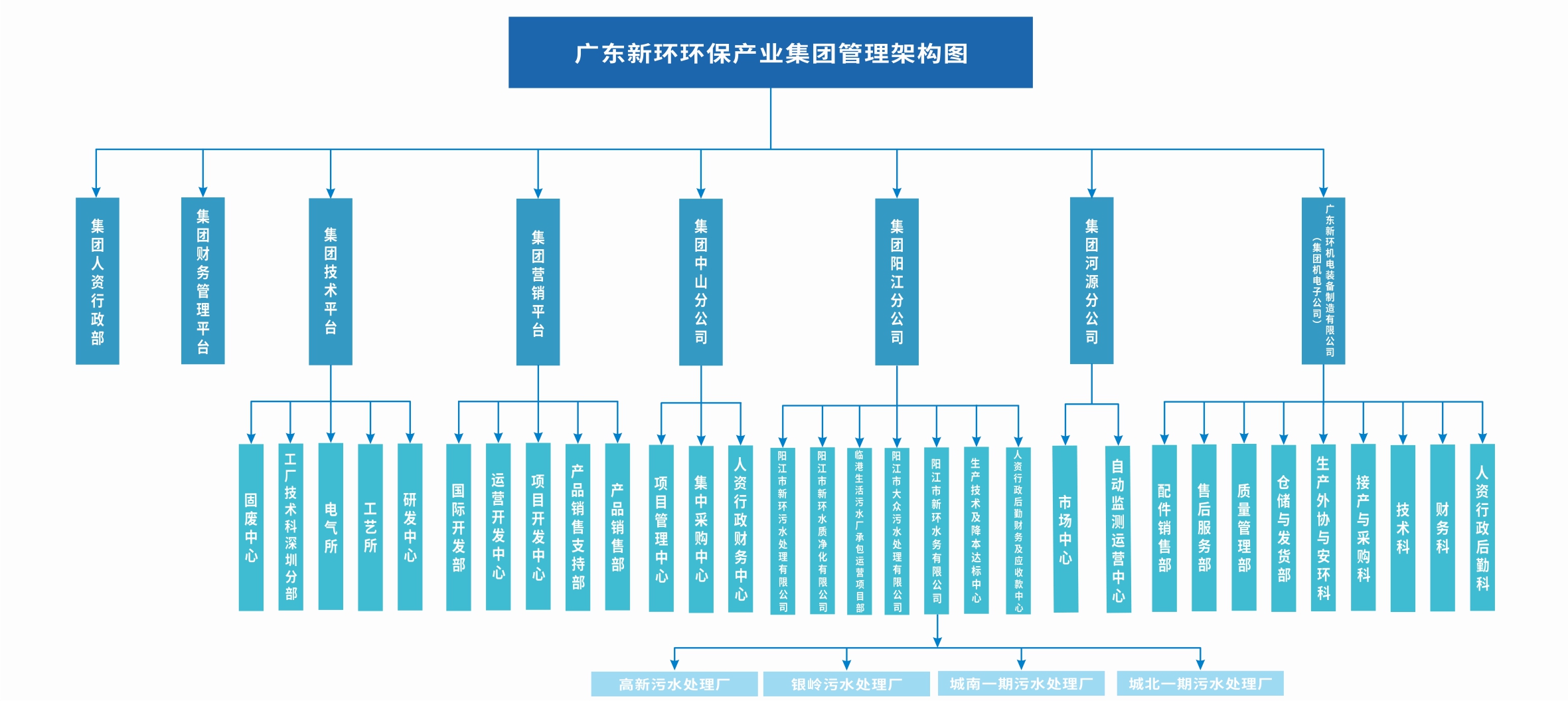 新环2024组织架构图A.jpg